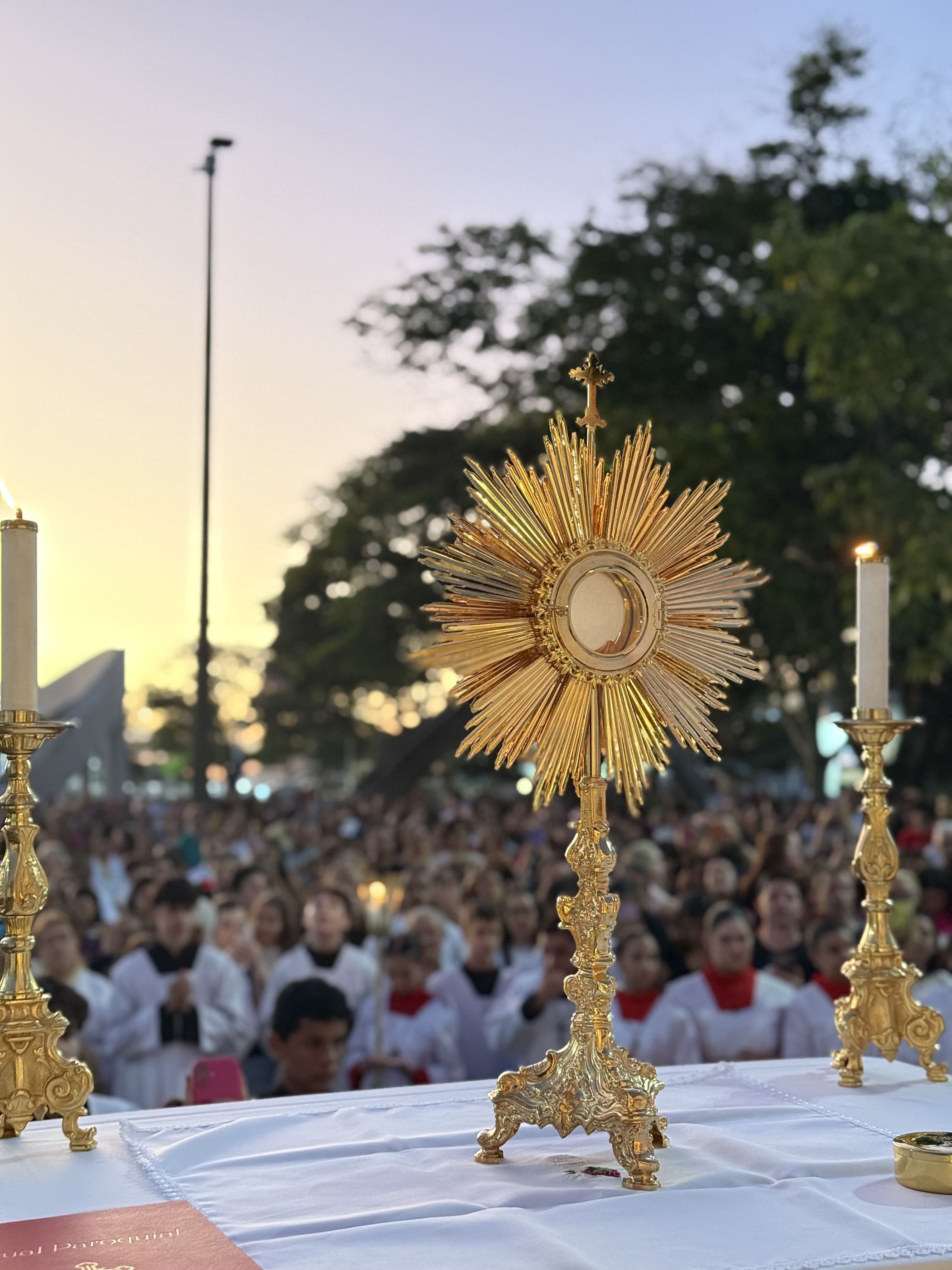 https://admin.santuarioimaculado.org.brnull