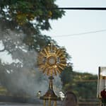MDP01046