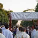 MDP01115