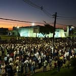 MDP01217