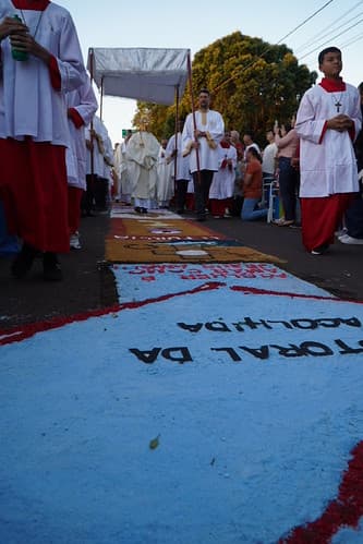 MDP01088